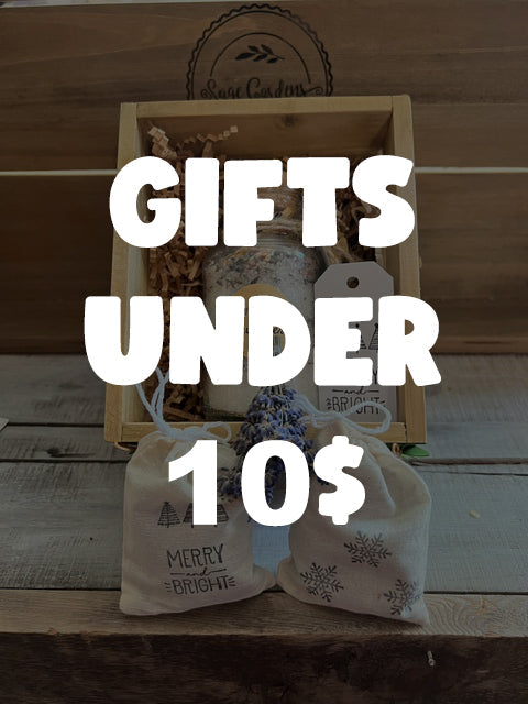 Gifts under 10$